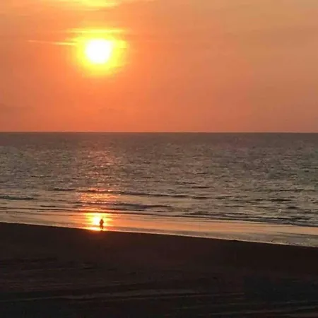 In With Stunning Sea View Διαμέρισμα Koksijde